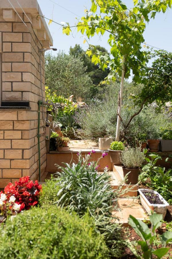 Apartmani "Zuka" Korčula Kültér fotó